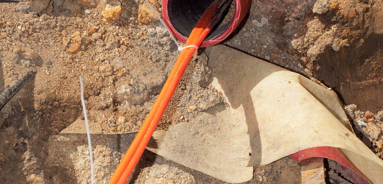 公共衛生檢測項目及標準有哪些？