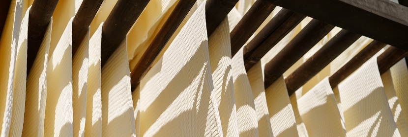 磷脂酰絲氨酸檢測(cè)